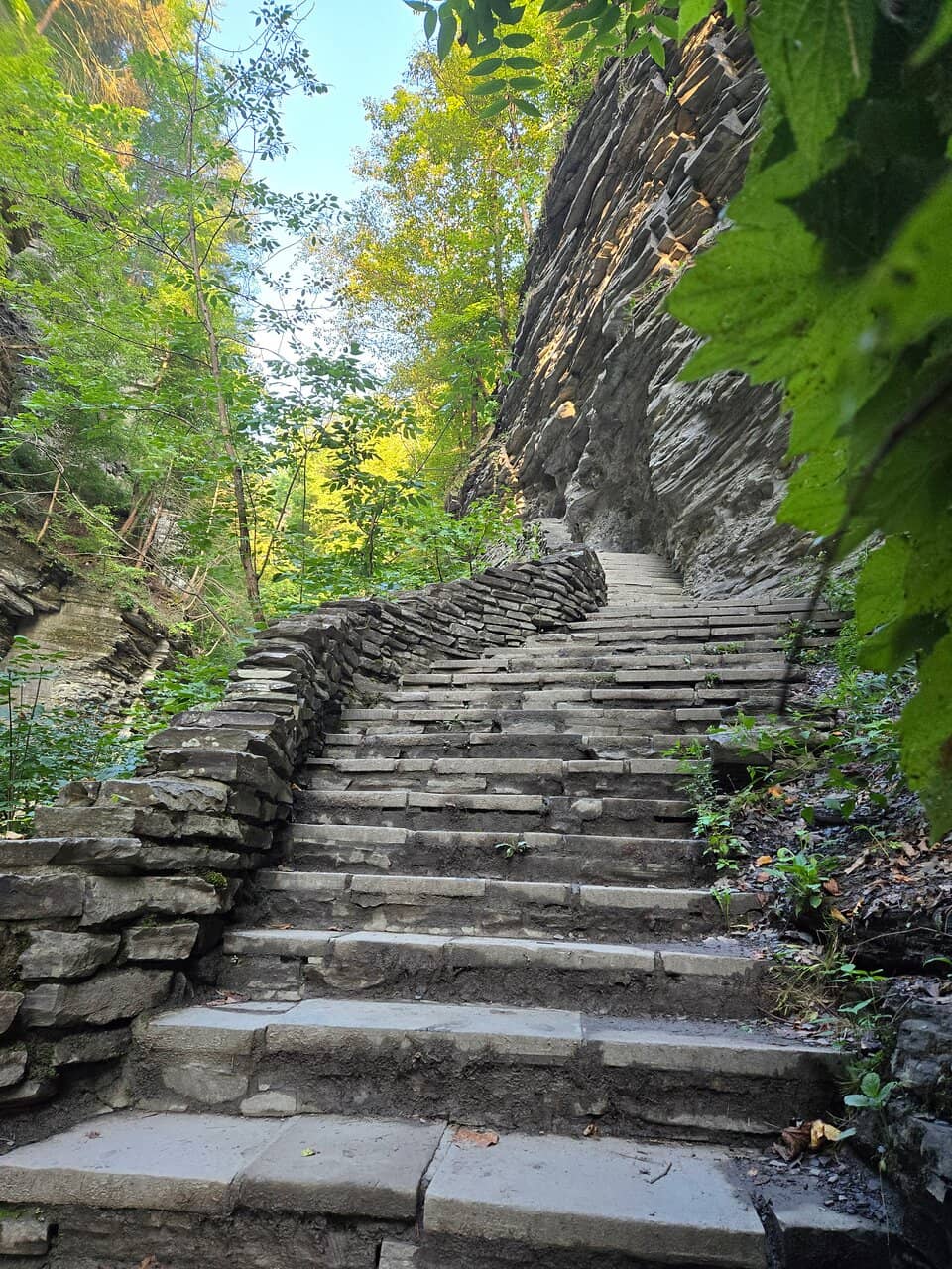 Seneca Lake Perspective