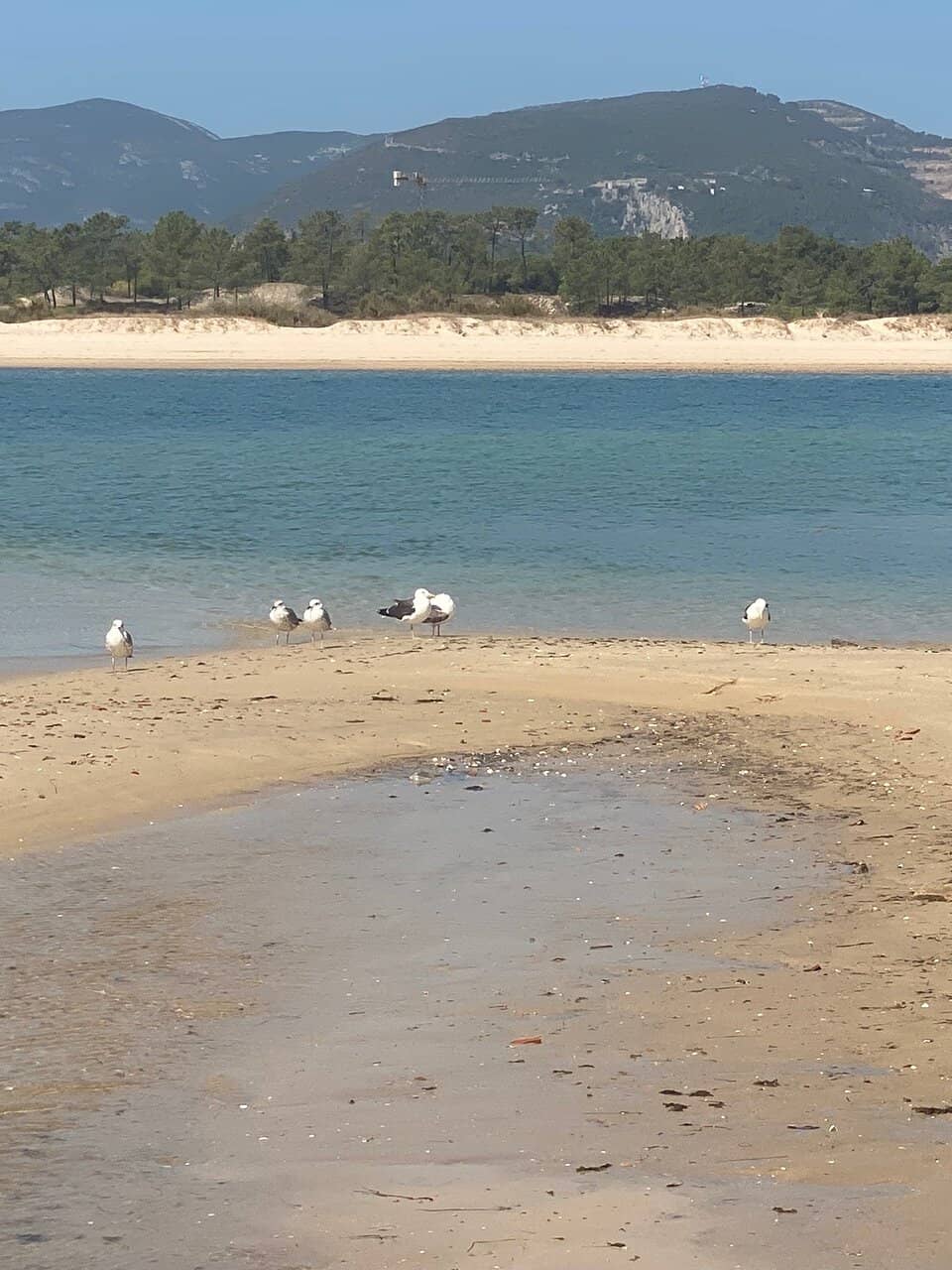 Nearby Beach
