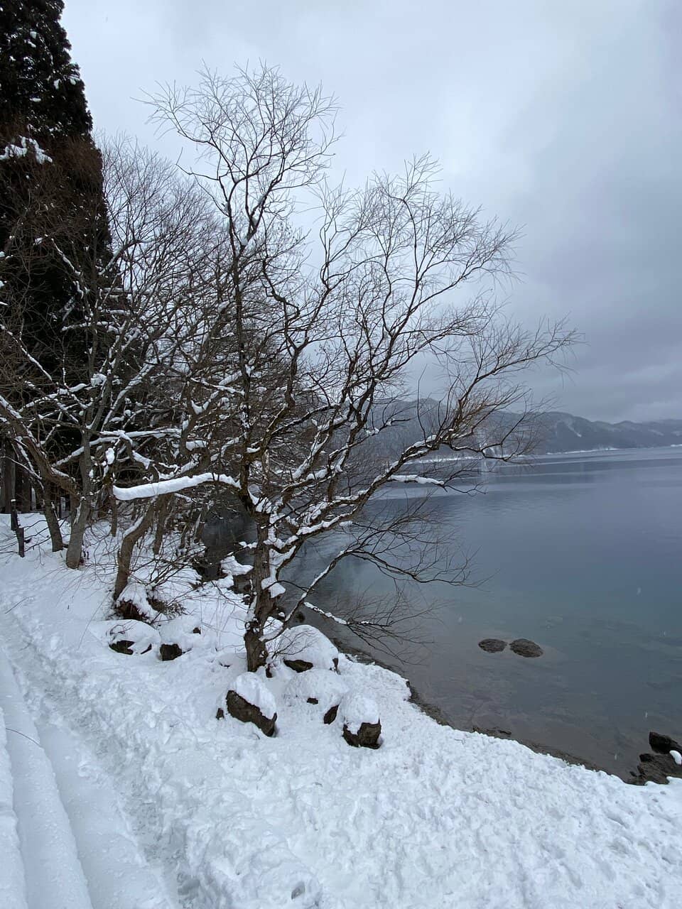 Lake Tazawa Cruise