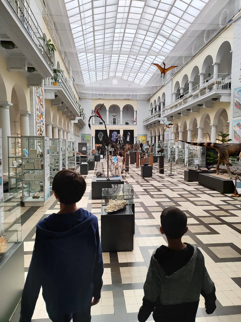 Amazonian Flora Trail