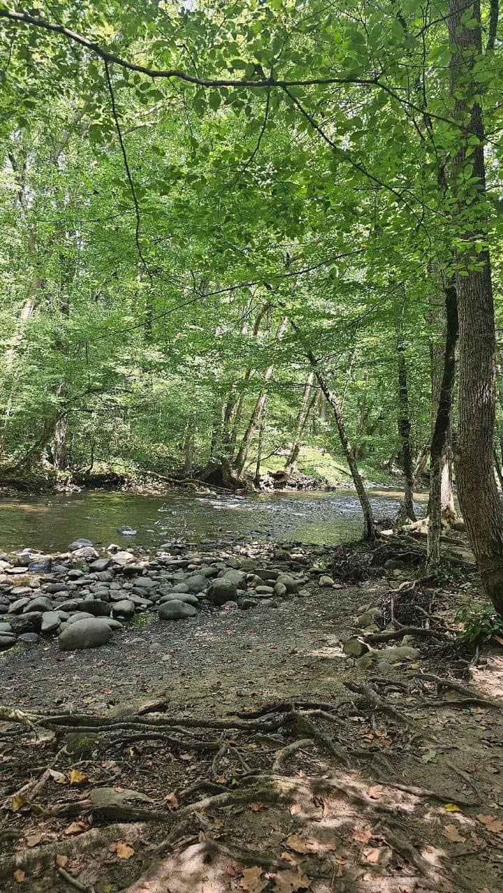 Cherokee Culture & History Exhibits