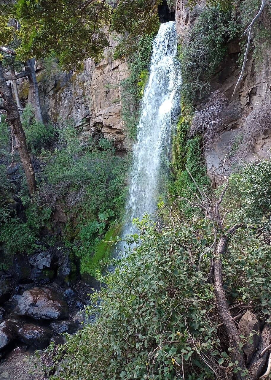 Vertical photo