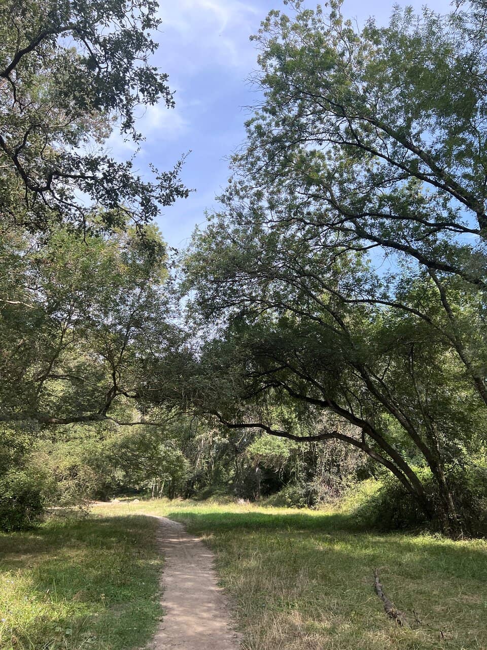 Picnic Spots & Playgrounds