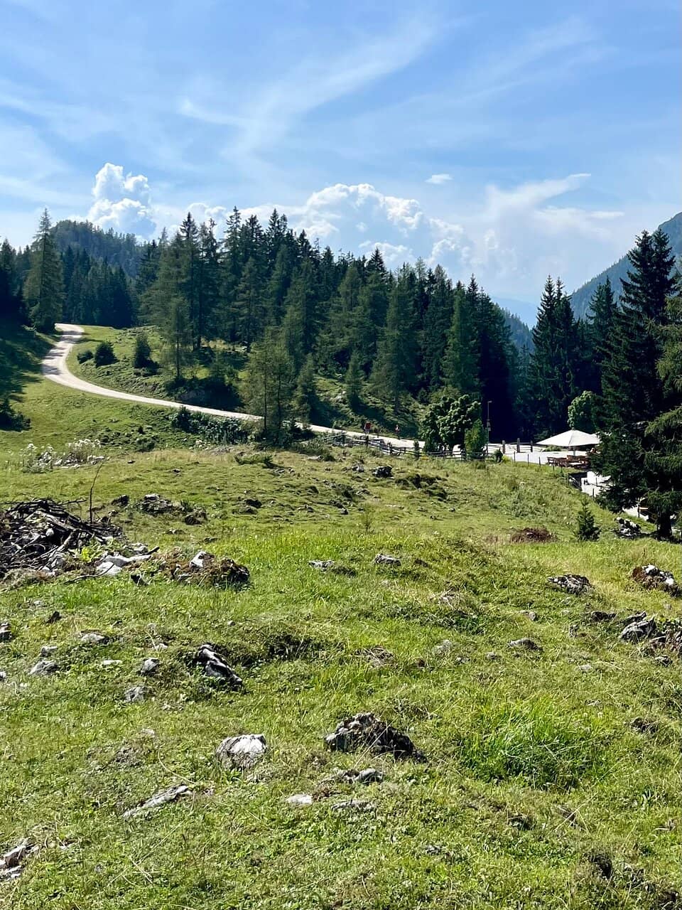 Hearty Mountain Cuisine