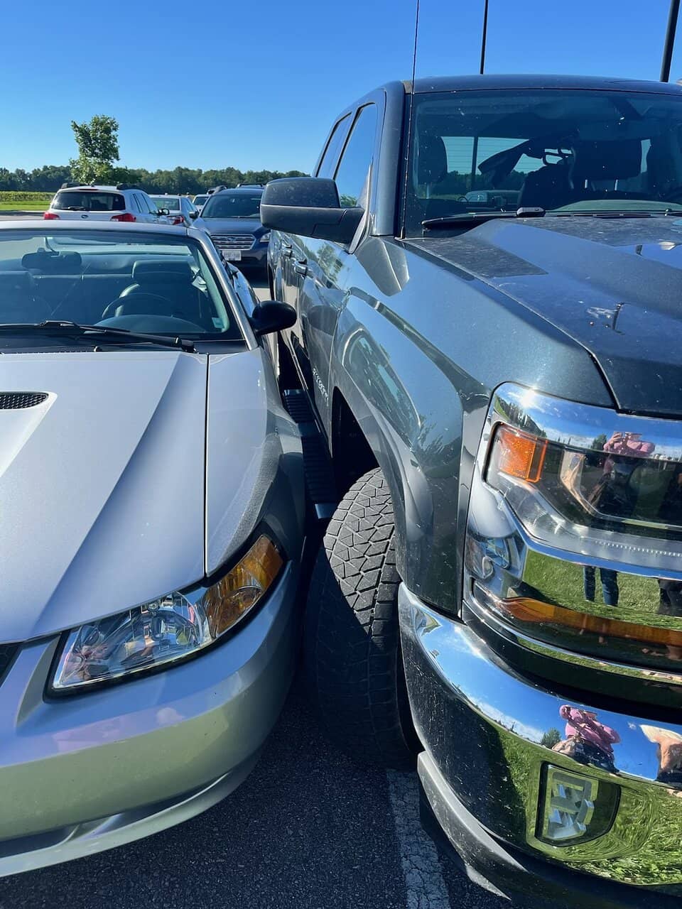 Live Musical Performances