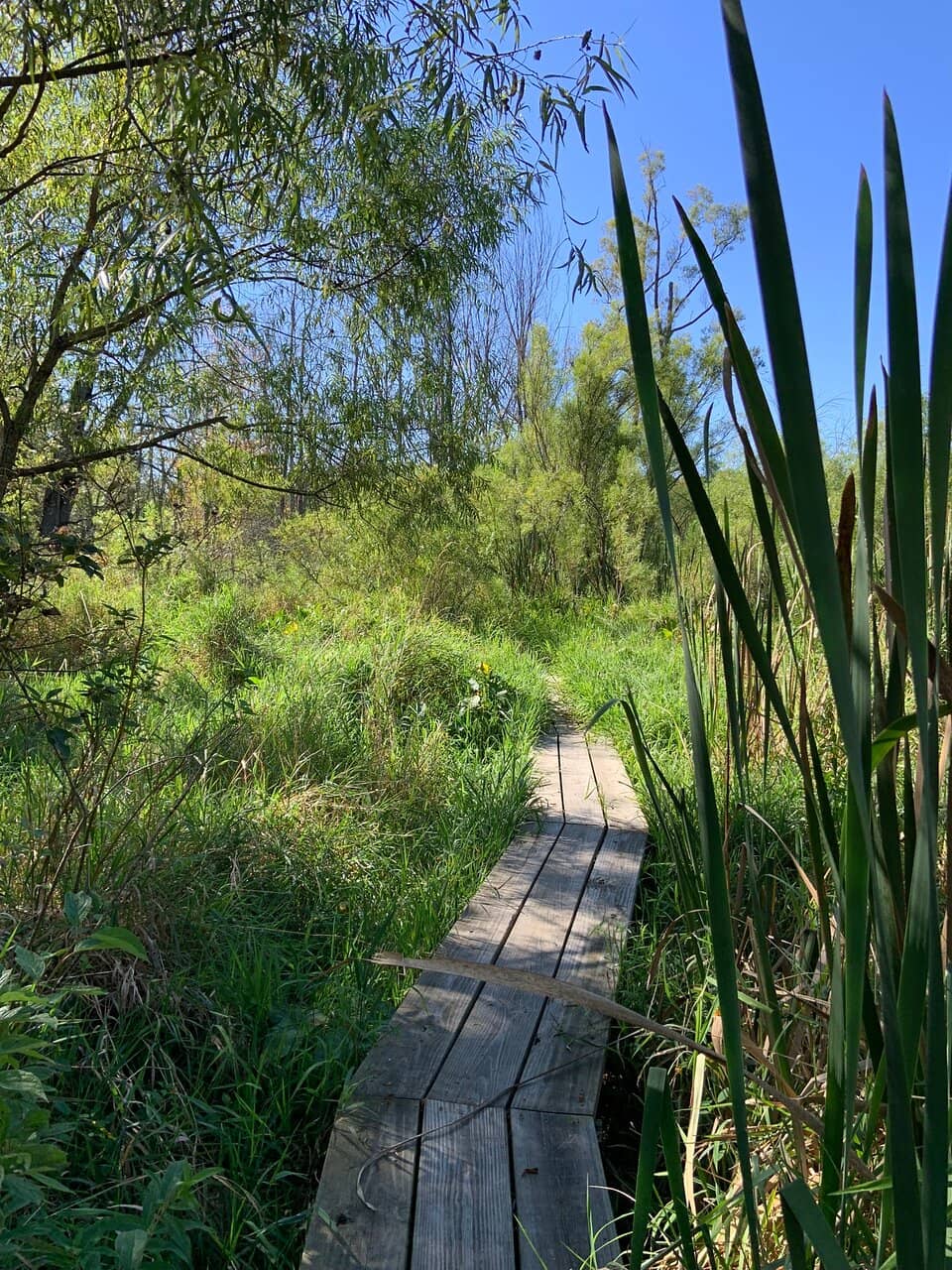 Extensive Nature Trails