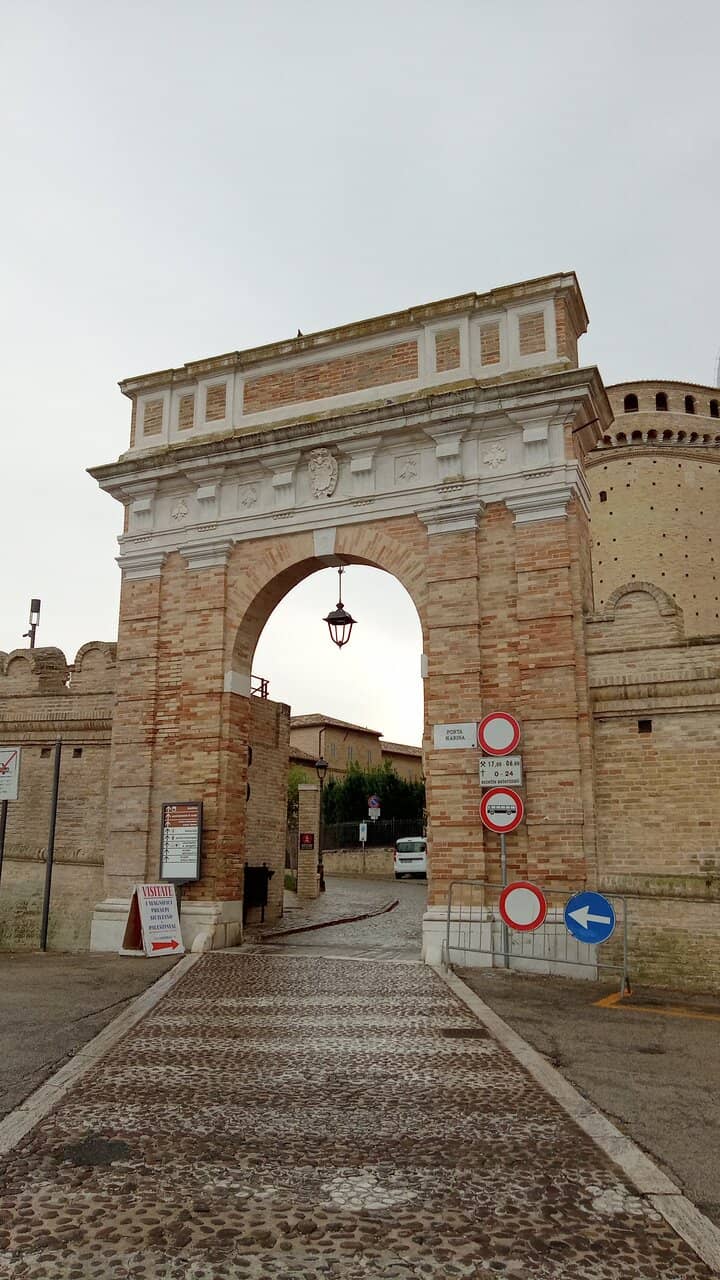 Vertical photo