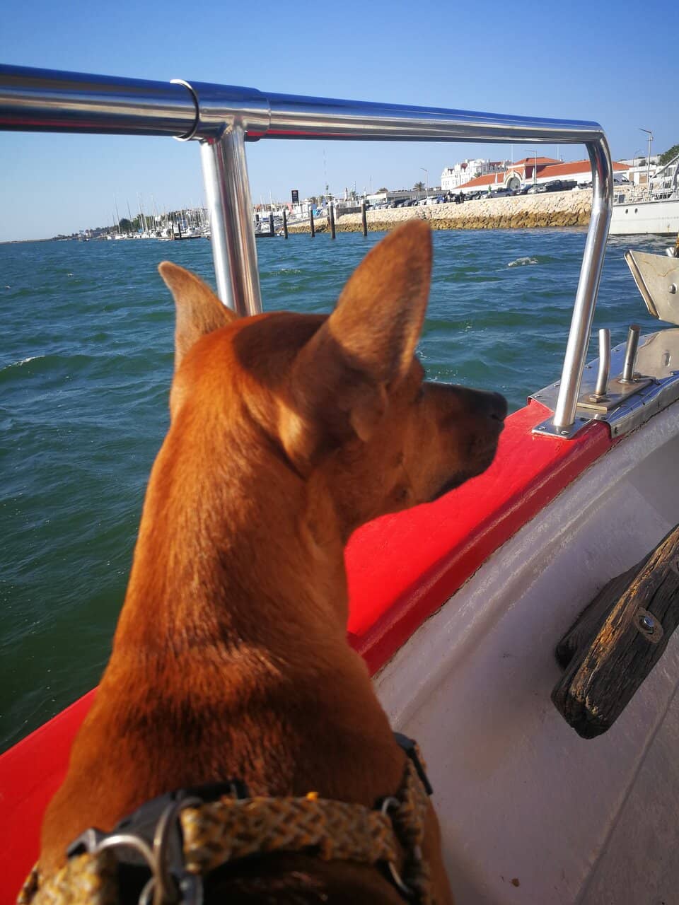 Budget-Friendly Travel