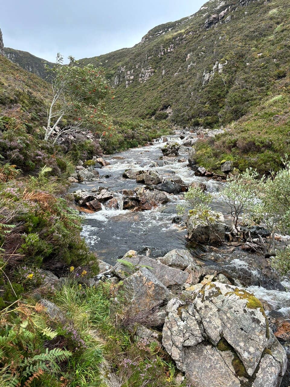 The Scenic Trek
