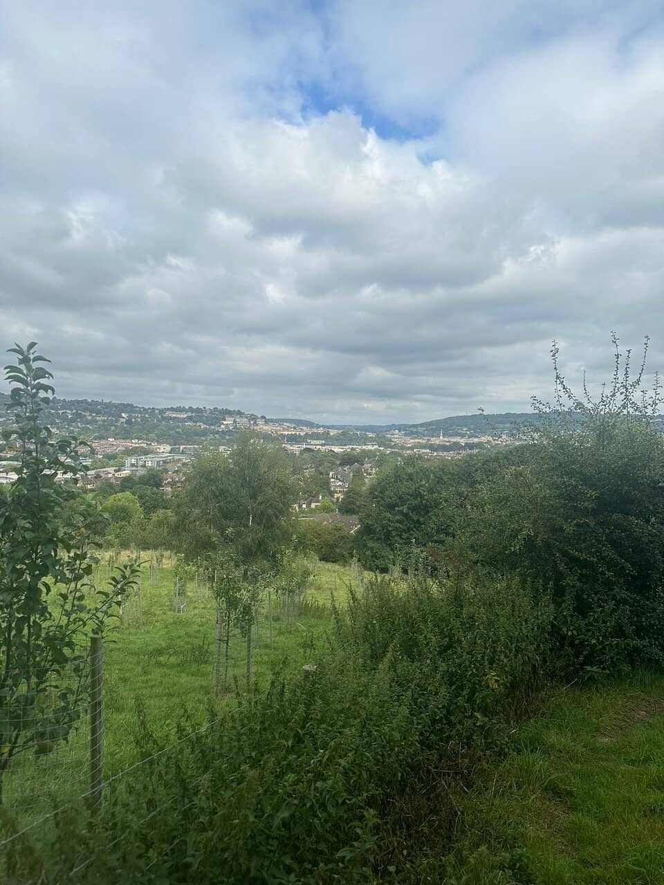 Panoramic City Views