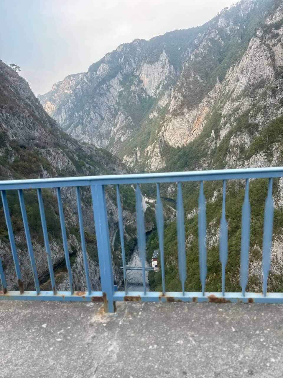 Picnic with a View