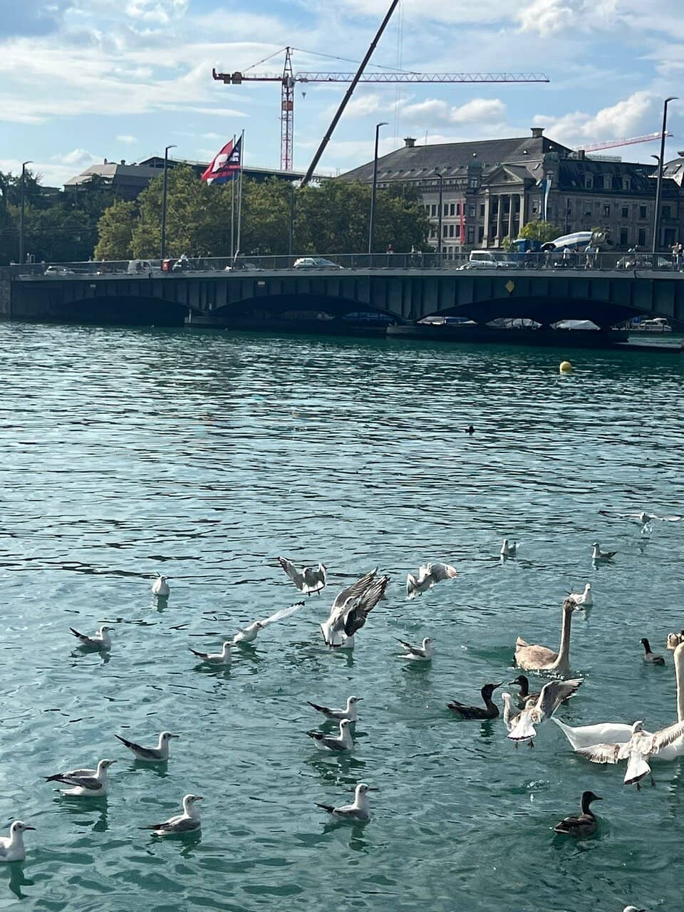 Gateway to Old Town Charm