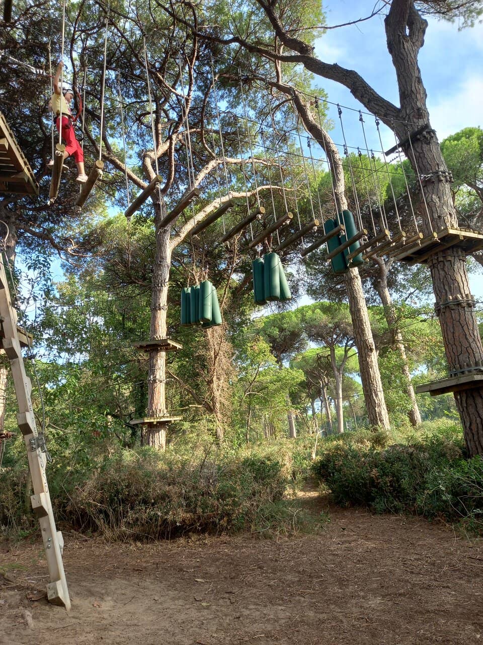 Nature Trails & Pine Forest