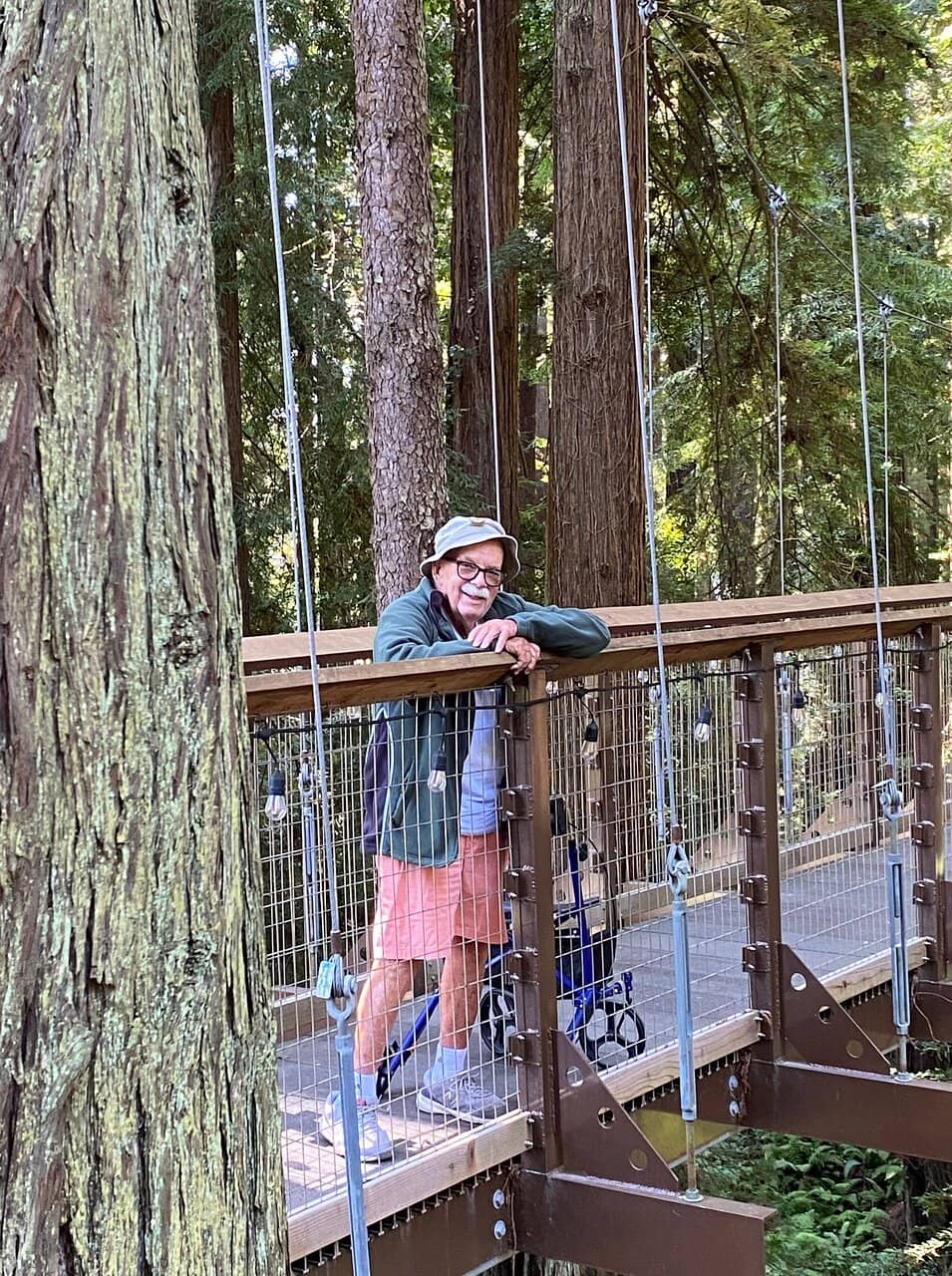 Vertical photo