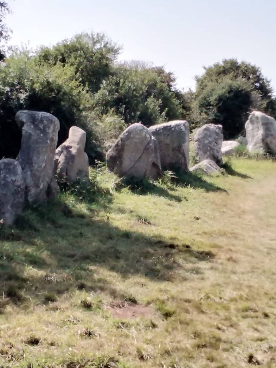 Peaceful Natural Setting