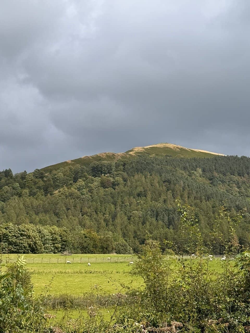 Latrigg Summit Viewpoint