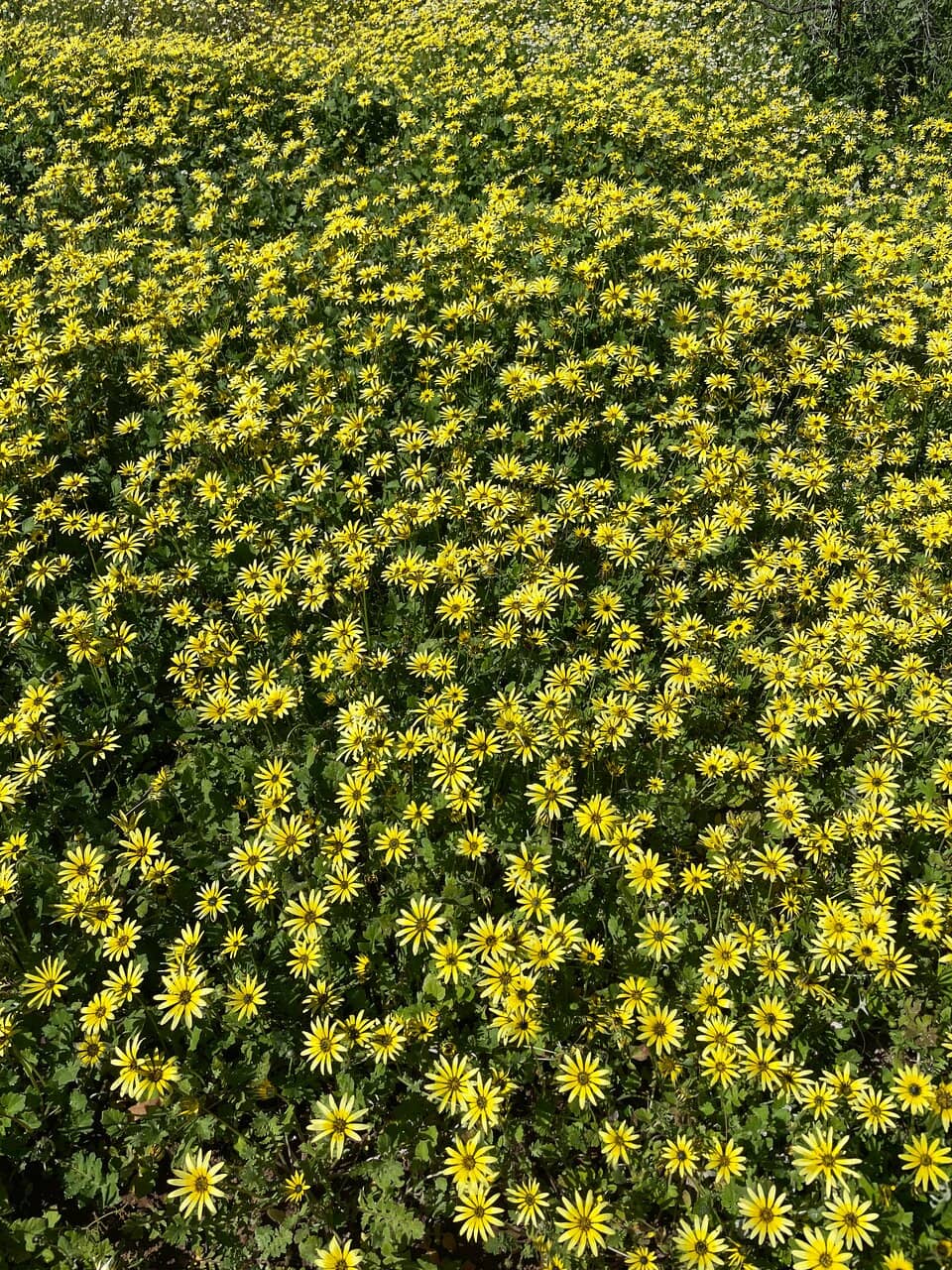 Murchison River Gorge