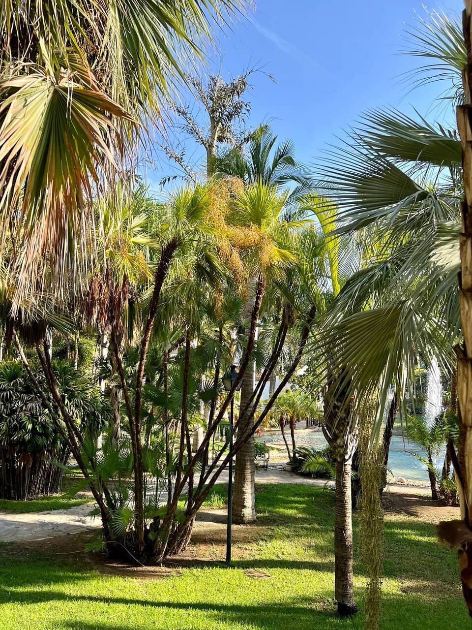 Aviary with Exotic Birds