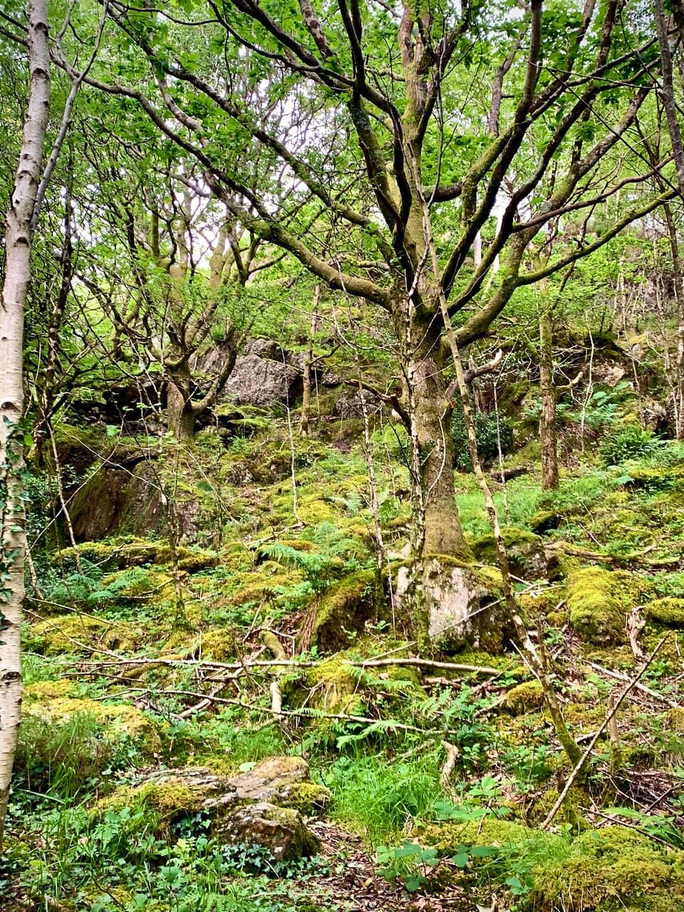 Beddgelert Village