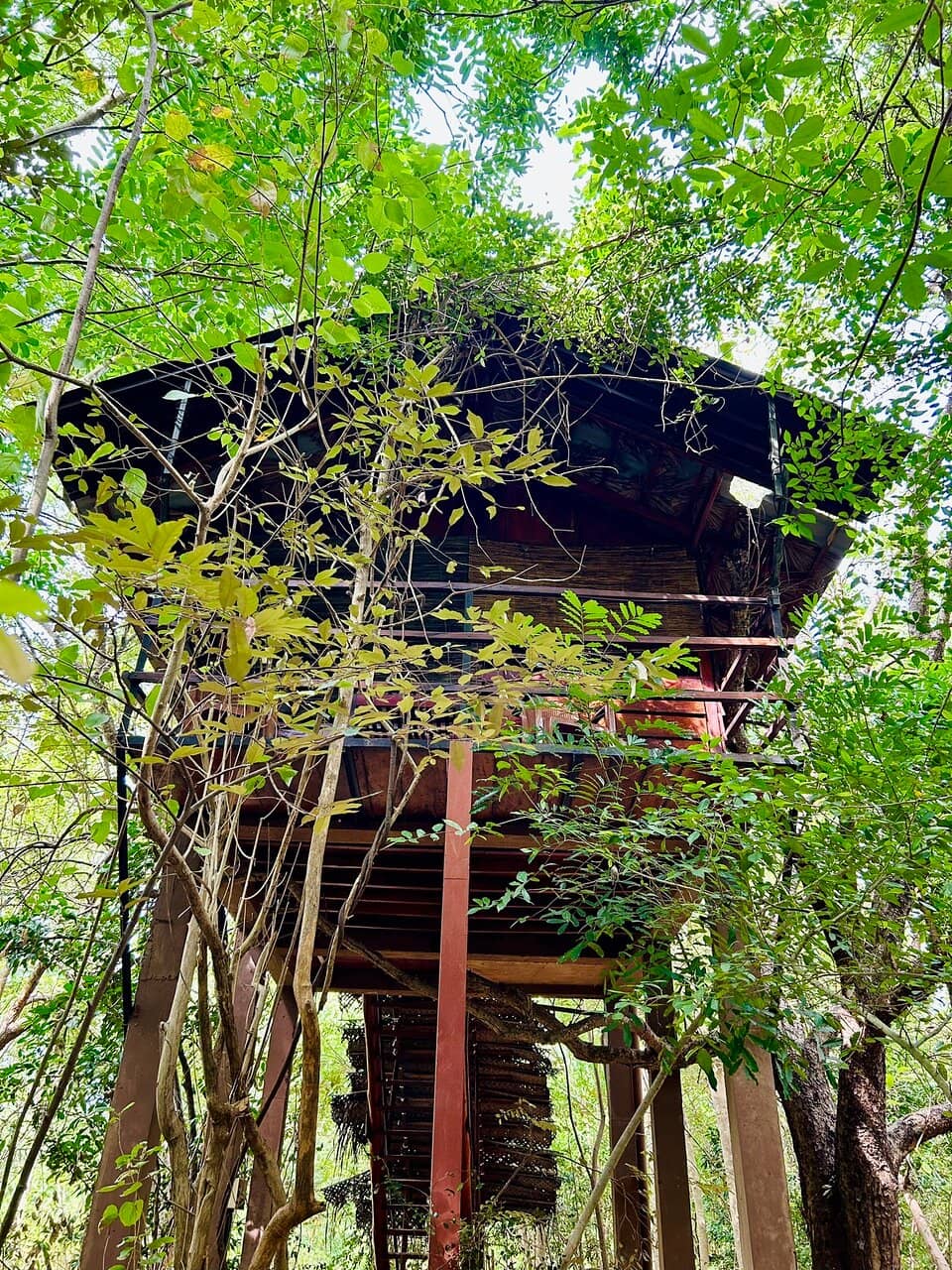 Diverse & Delicious Menu