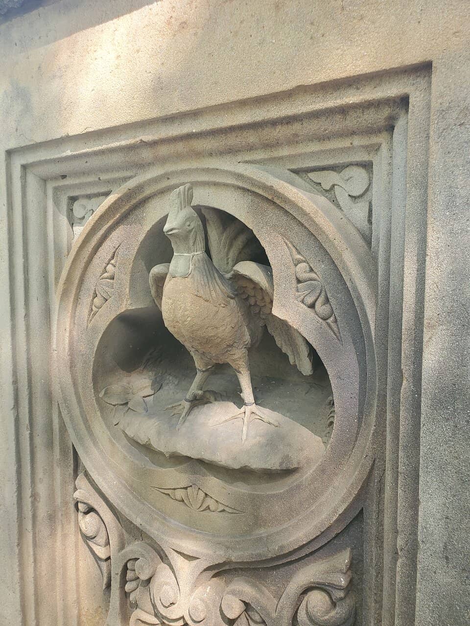 Vertical photo