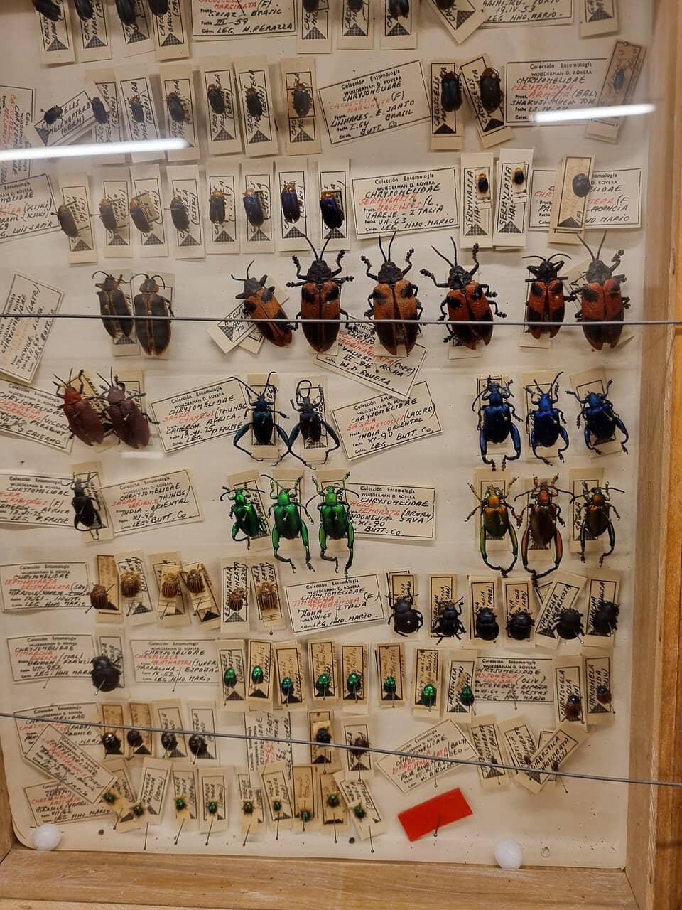 Insectary