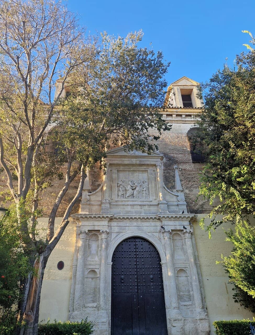 Vertical photo