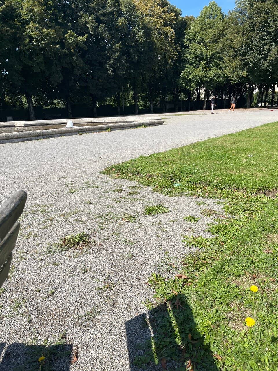 Exotic Species Collection