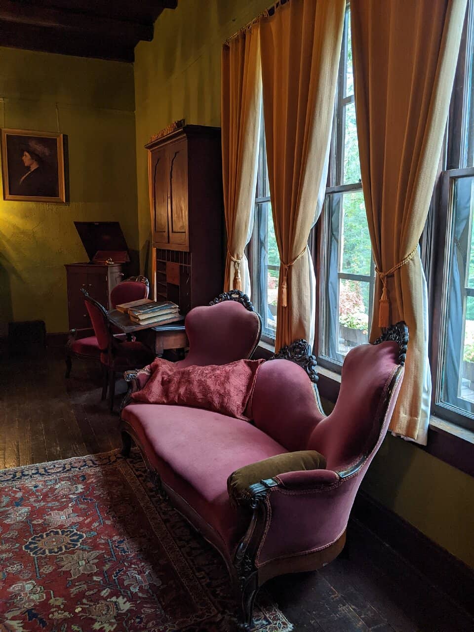 Tranquil Forest Paths