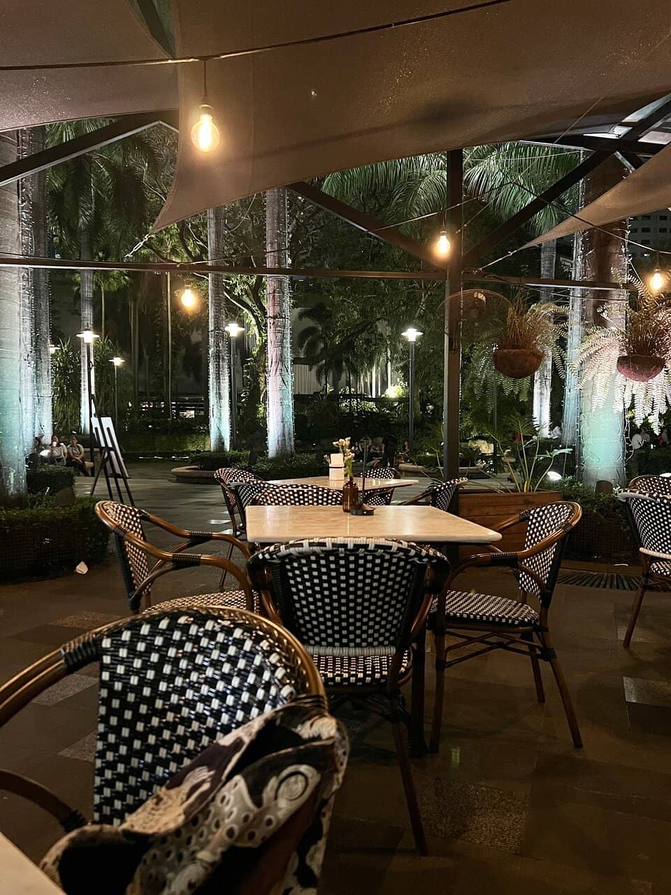 Cozy Ambiance and Attentive Service