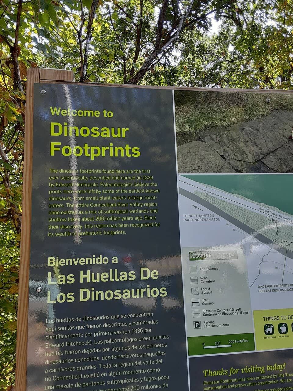 Informative Signage