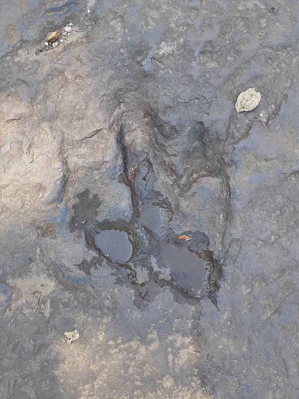 Scenic Riverside Walk