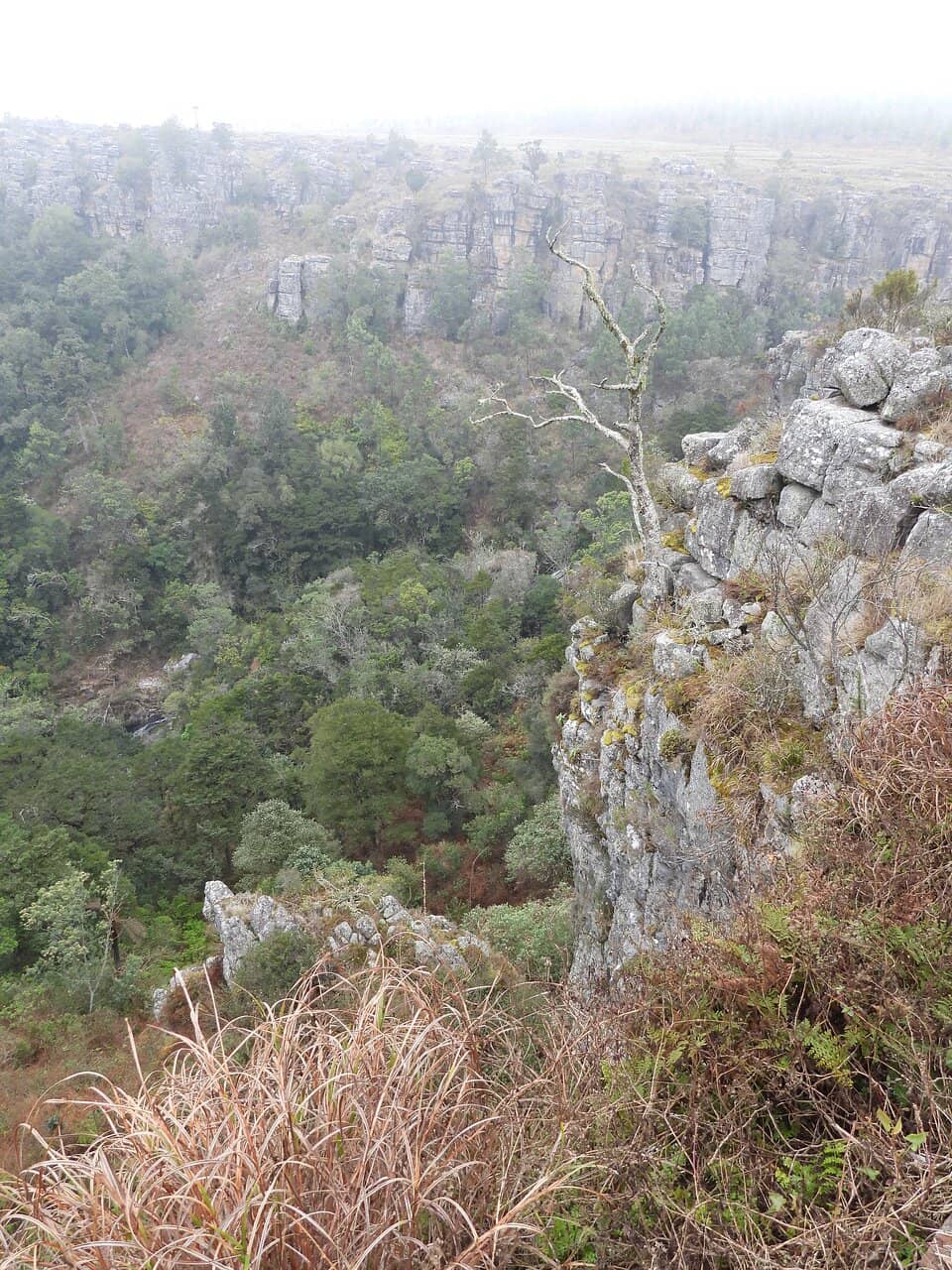 Panoramic Viewpoint
