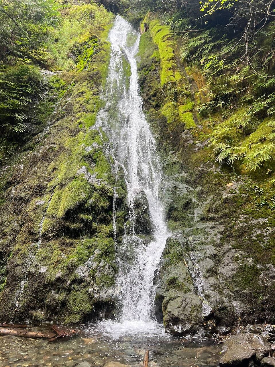 Elwha River Basin