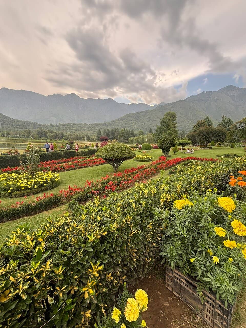 Scenic Floral Displays