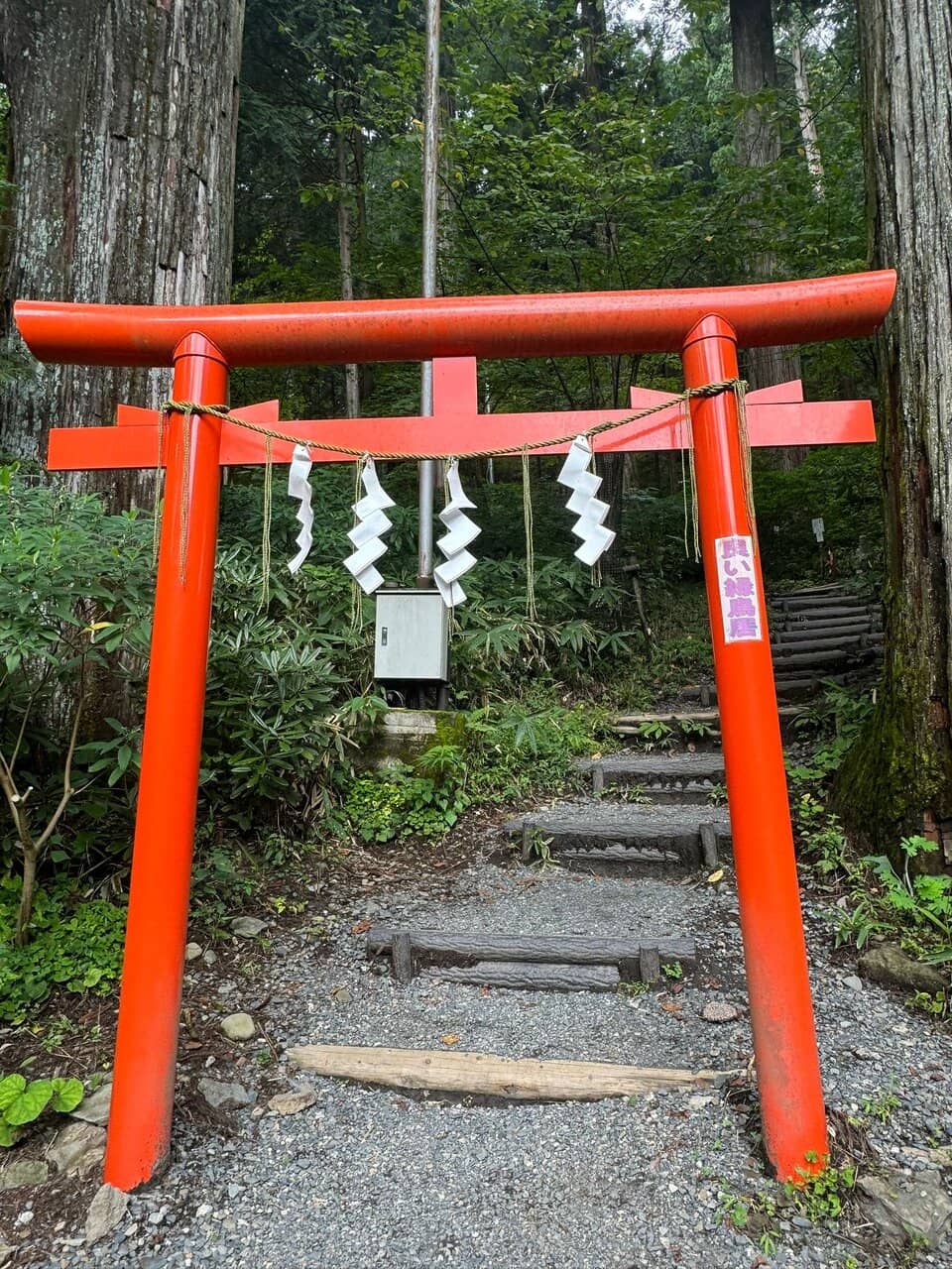 Wind Bell Festival