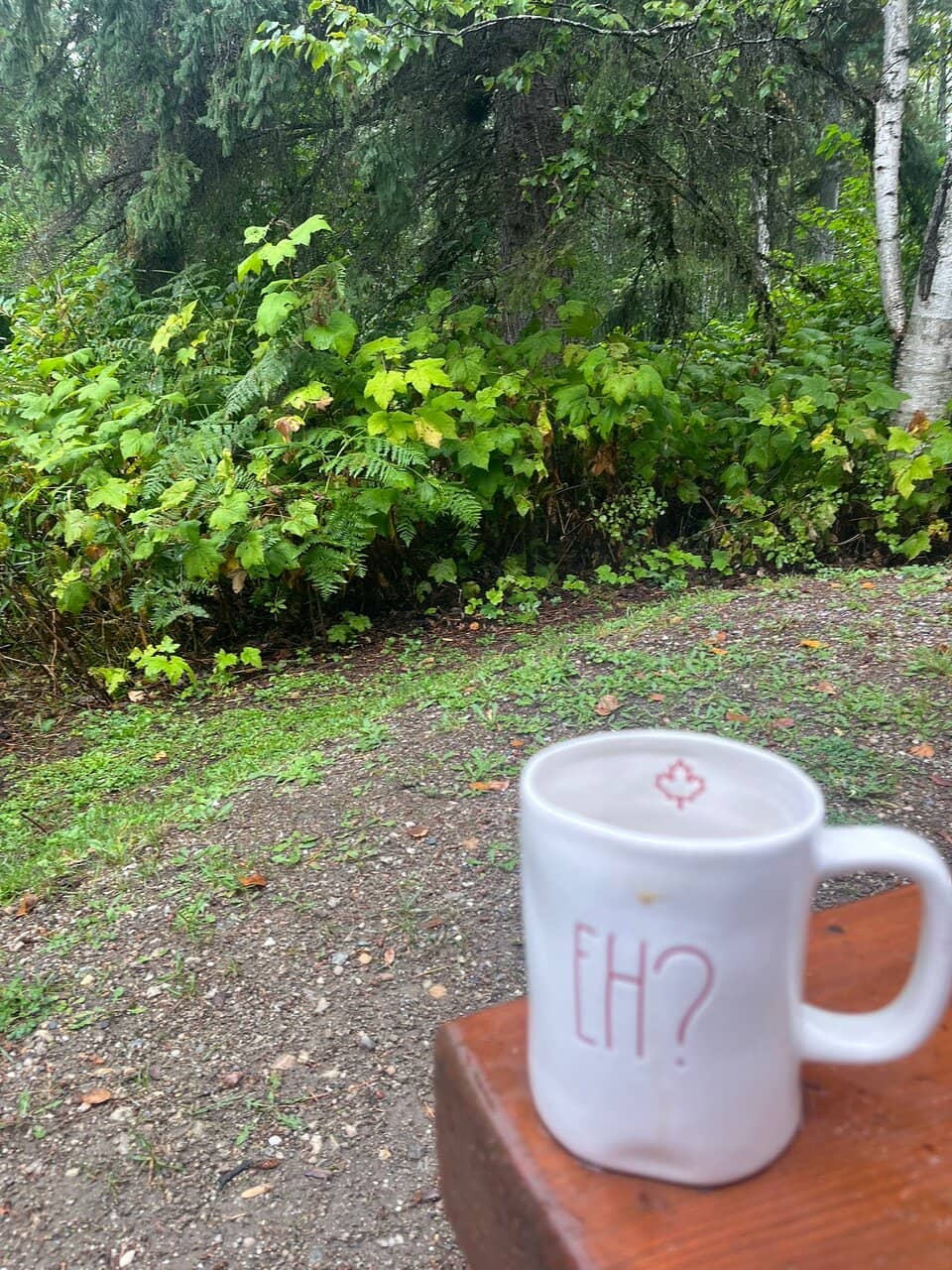 Man-Made Swimming Lagoon