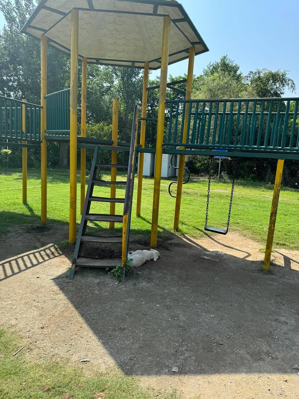 Tranquil Walking Paths