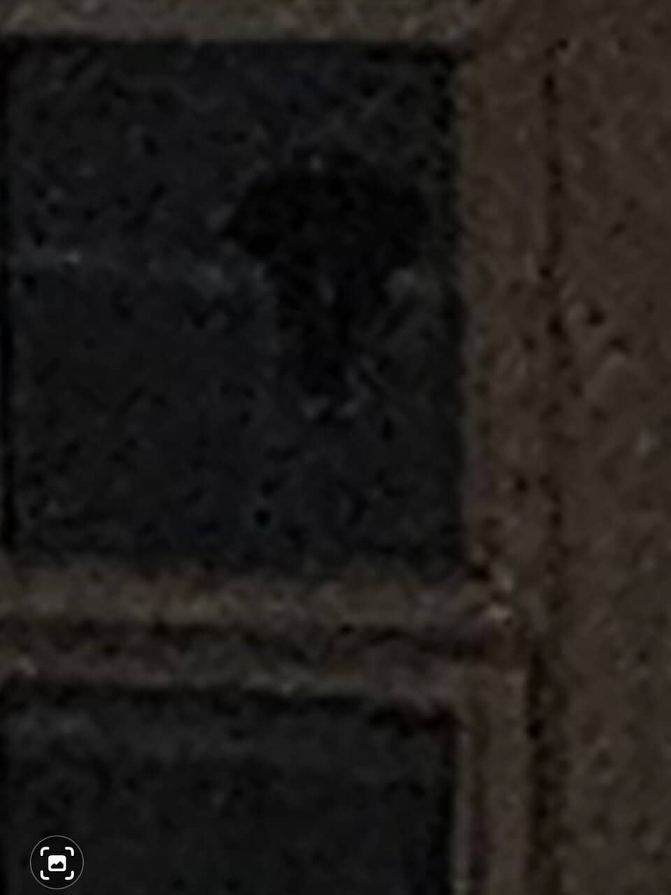 Lantern-Lit Exploration