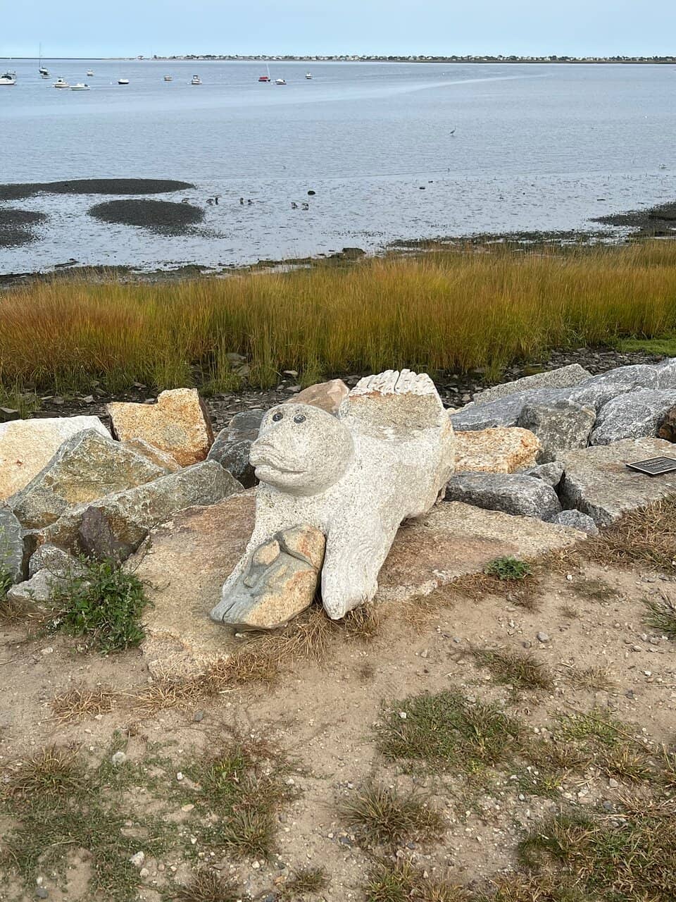 Plum Island Views