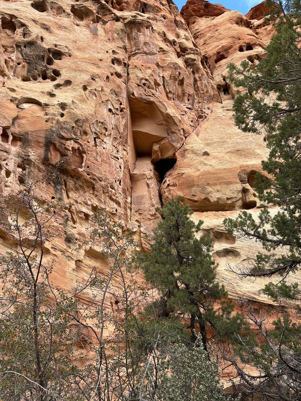 Cohab Canyon Views
