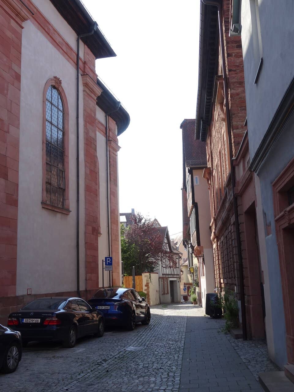 Magnificent Ceiling Frescoes