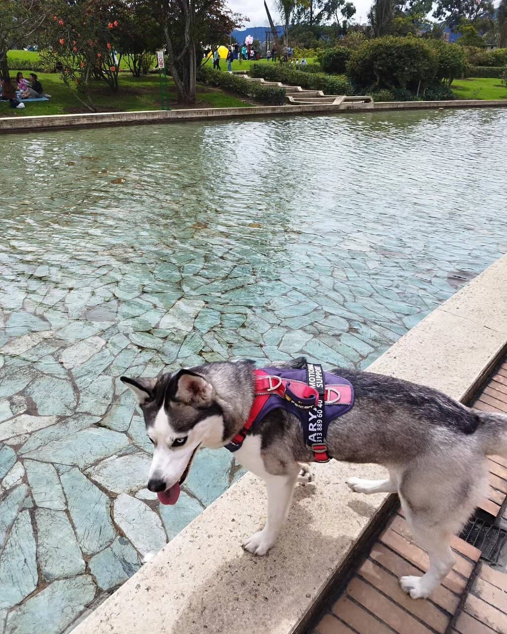 Rogelio Salmona's Architectural Gem