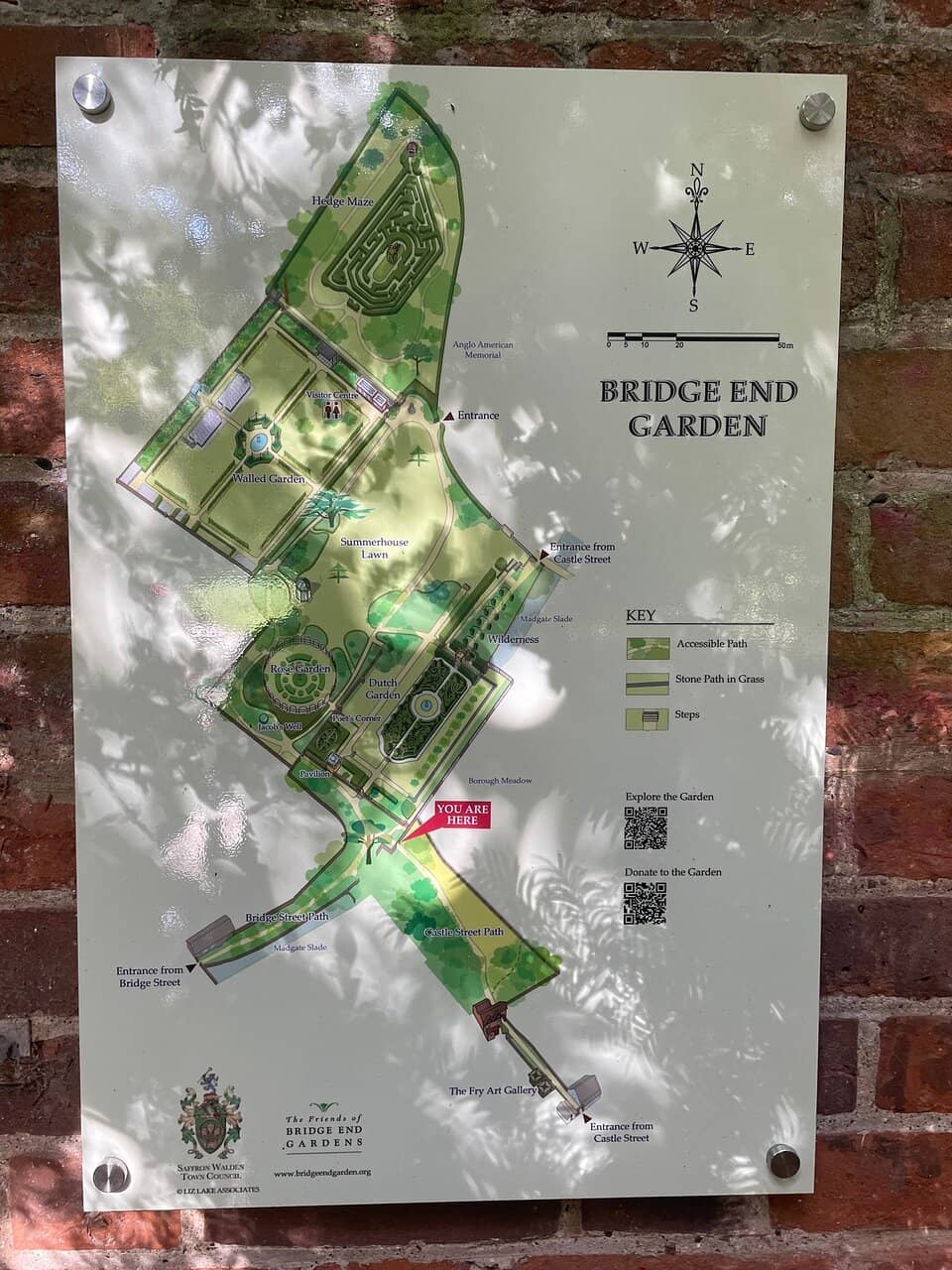 Volunteer-Led Insights