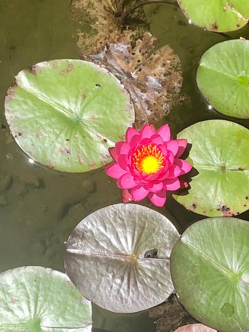 Kids' Play Area & Water Games