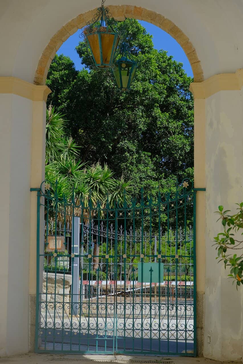 Vertical photo