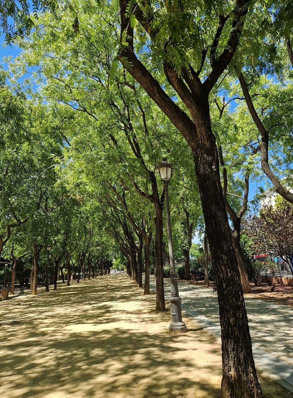Lush Greenery and Pathways