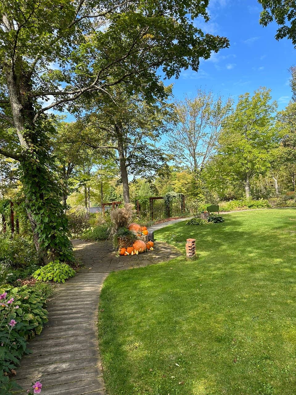 Sensory Garden & Music