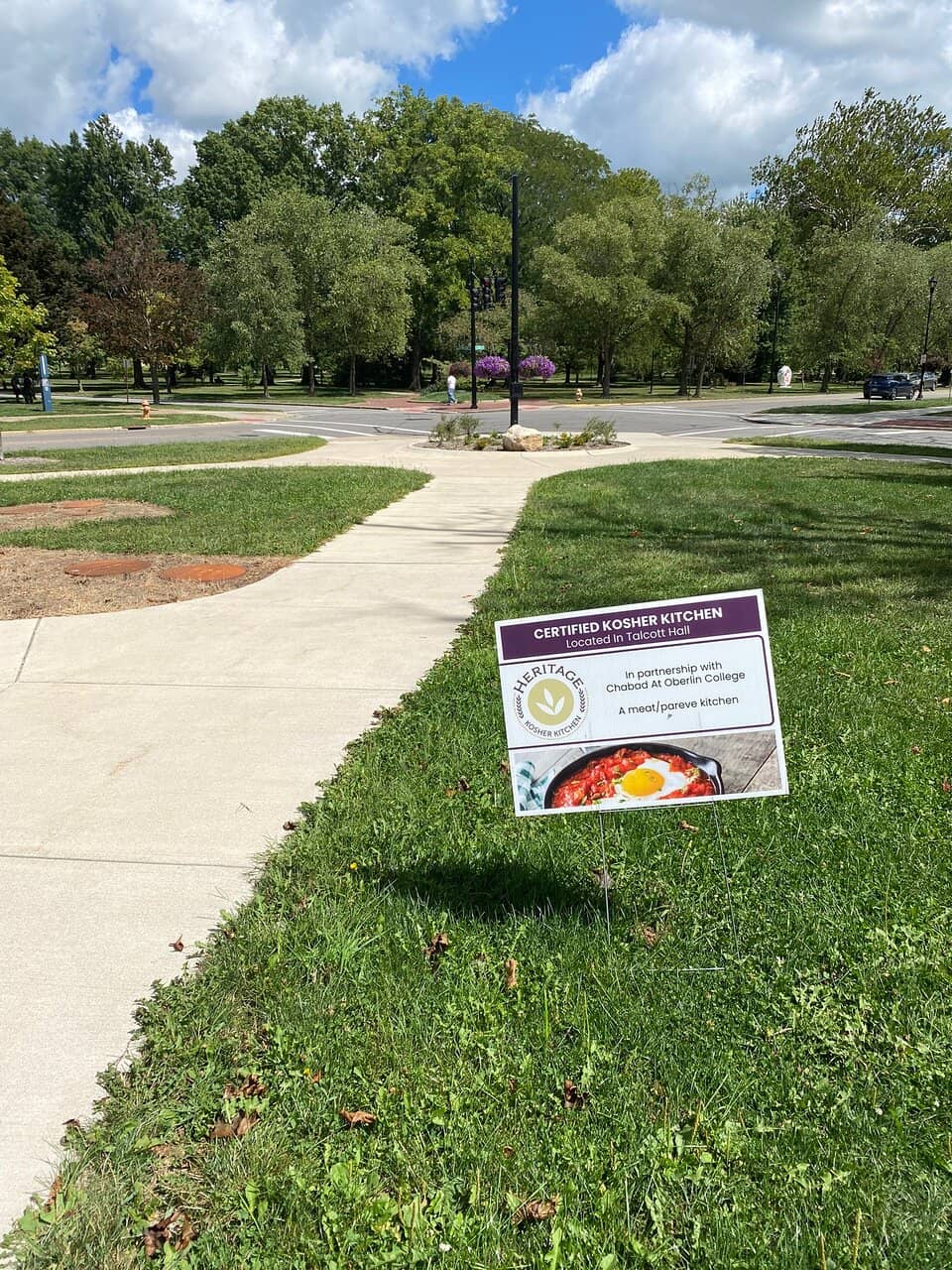 Mountain Goat Encounters