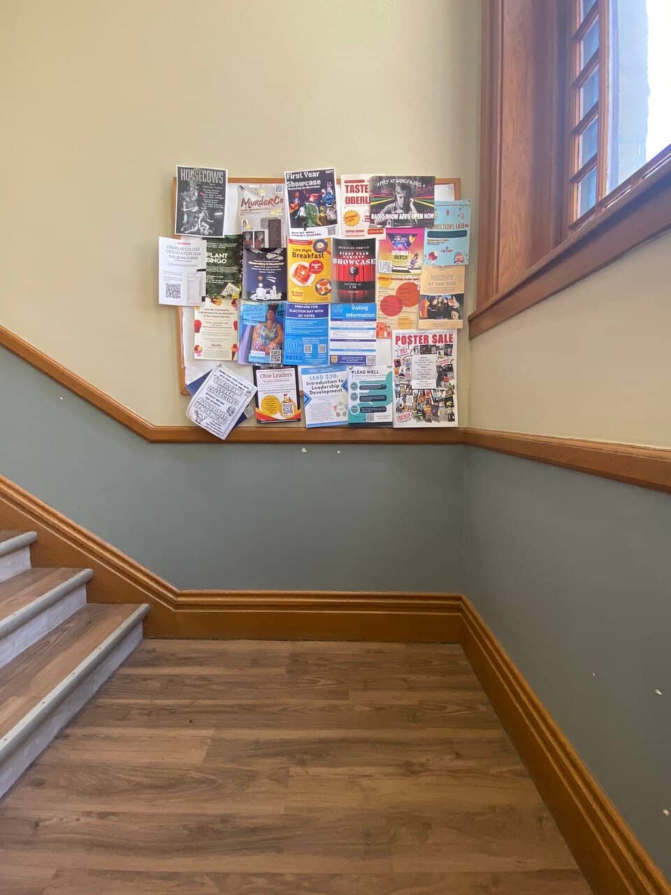 Panoramic Mountain Vistas